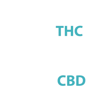 איור של מולקולות THC ו-CBD