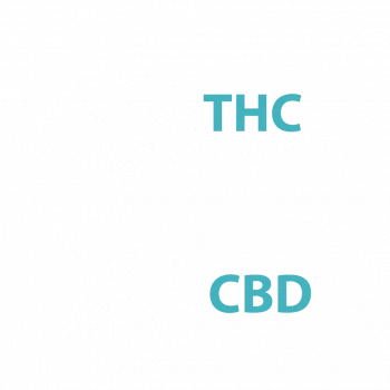 איור של מולקולות THC ו-CBD